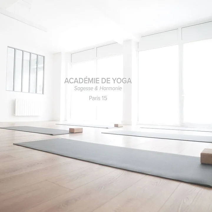 Academy Yoga Ayurveda Sagesse & Harmonie