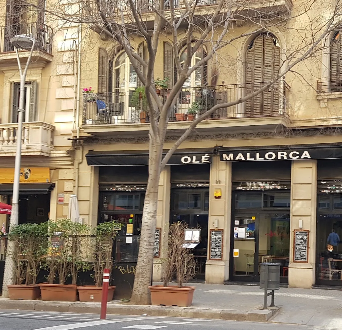 Olé Mallorca