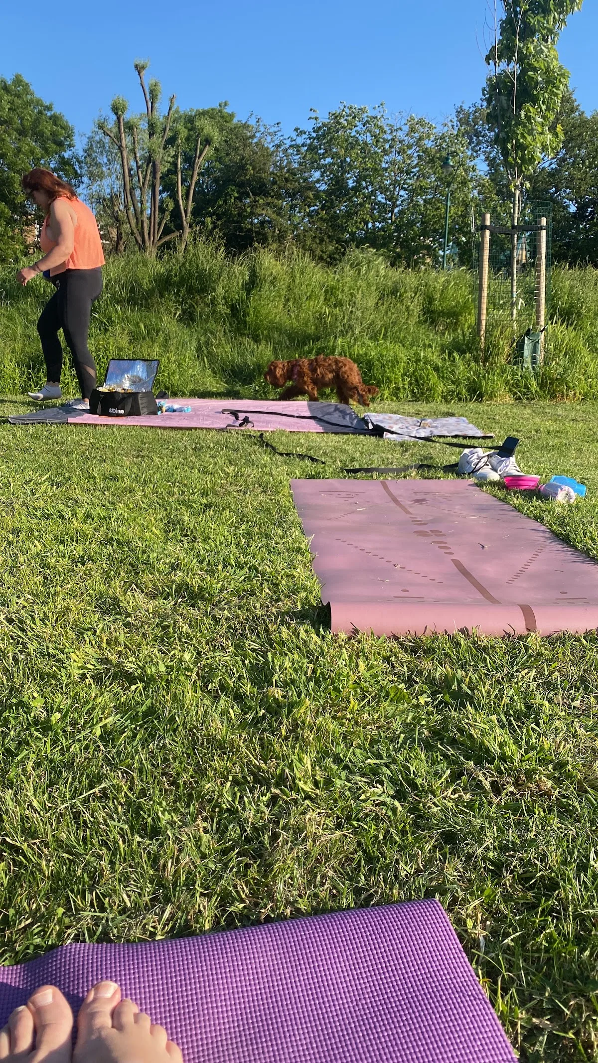 Hannah Maher Yoga