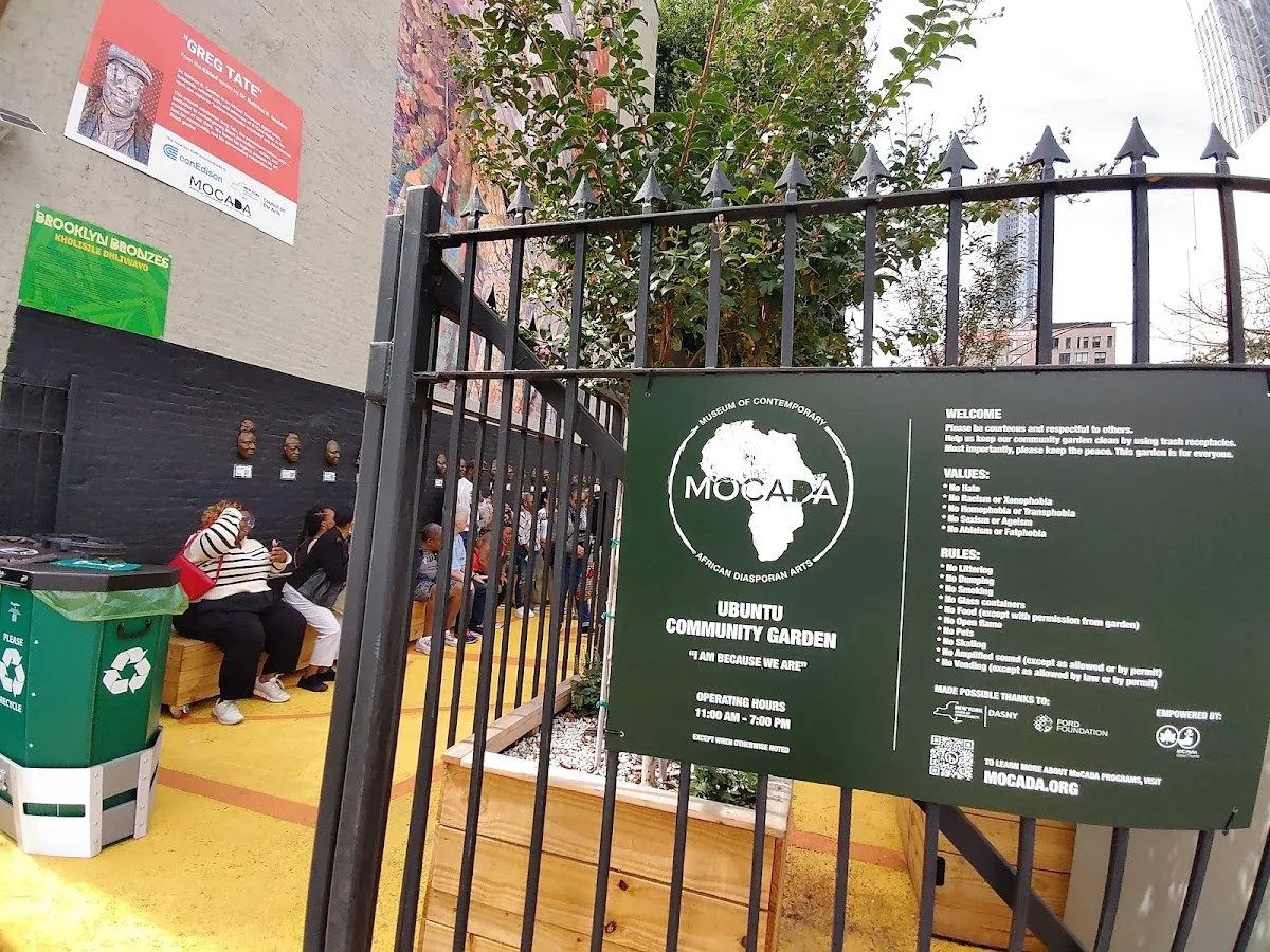 Museum of Contemporary African Diasporan Arts (MoCADA) Gallery + Cafe