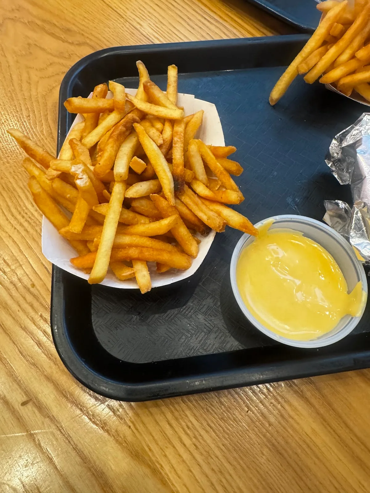 SALT burgers + fries