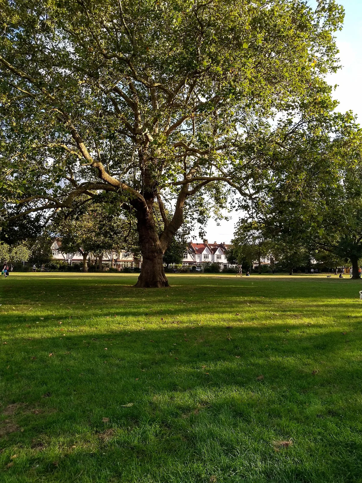 Wendell Park