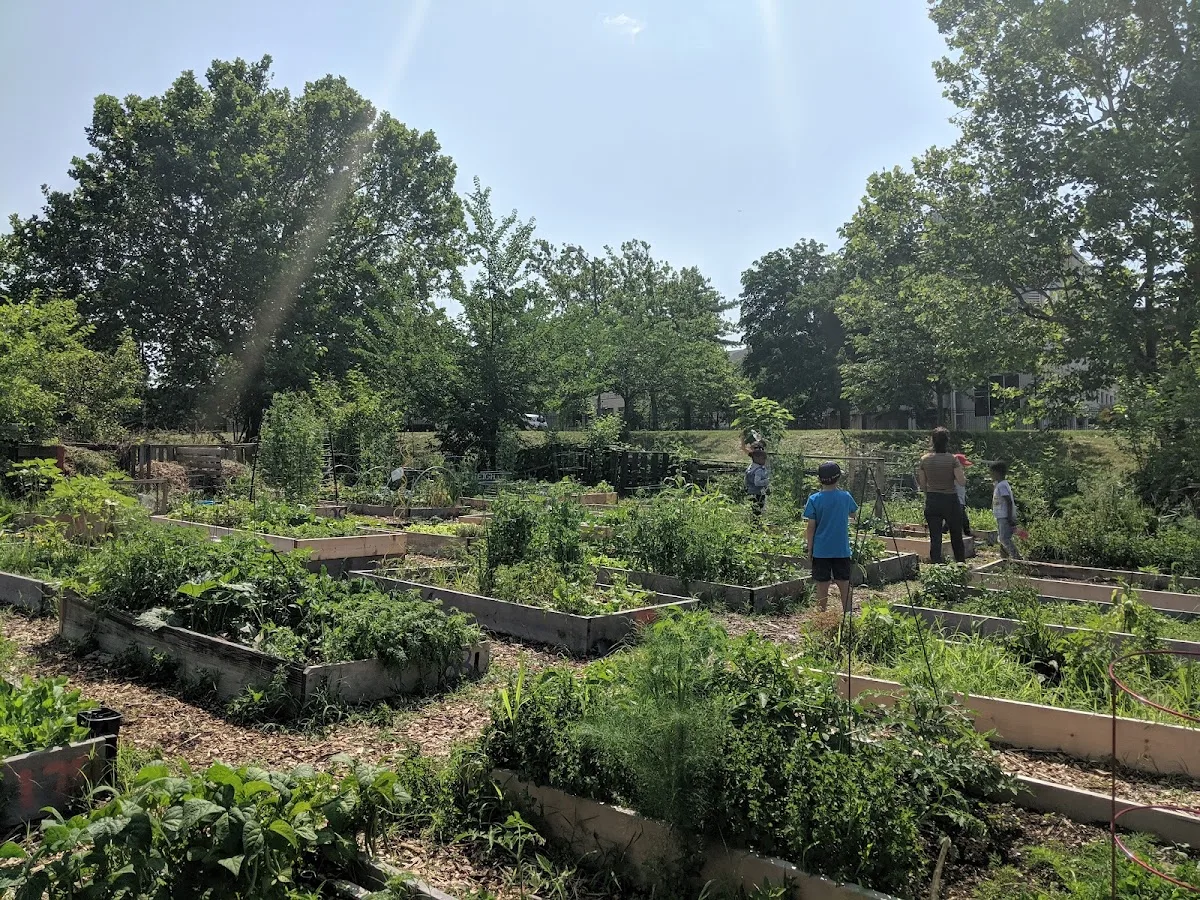 Wangari Gardens