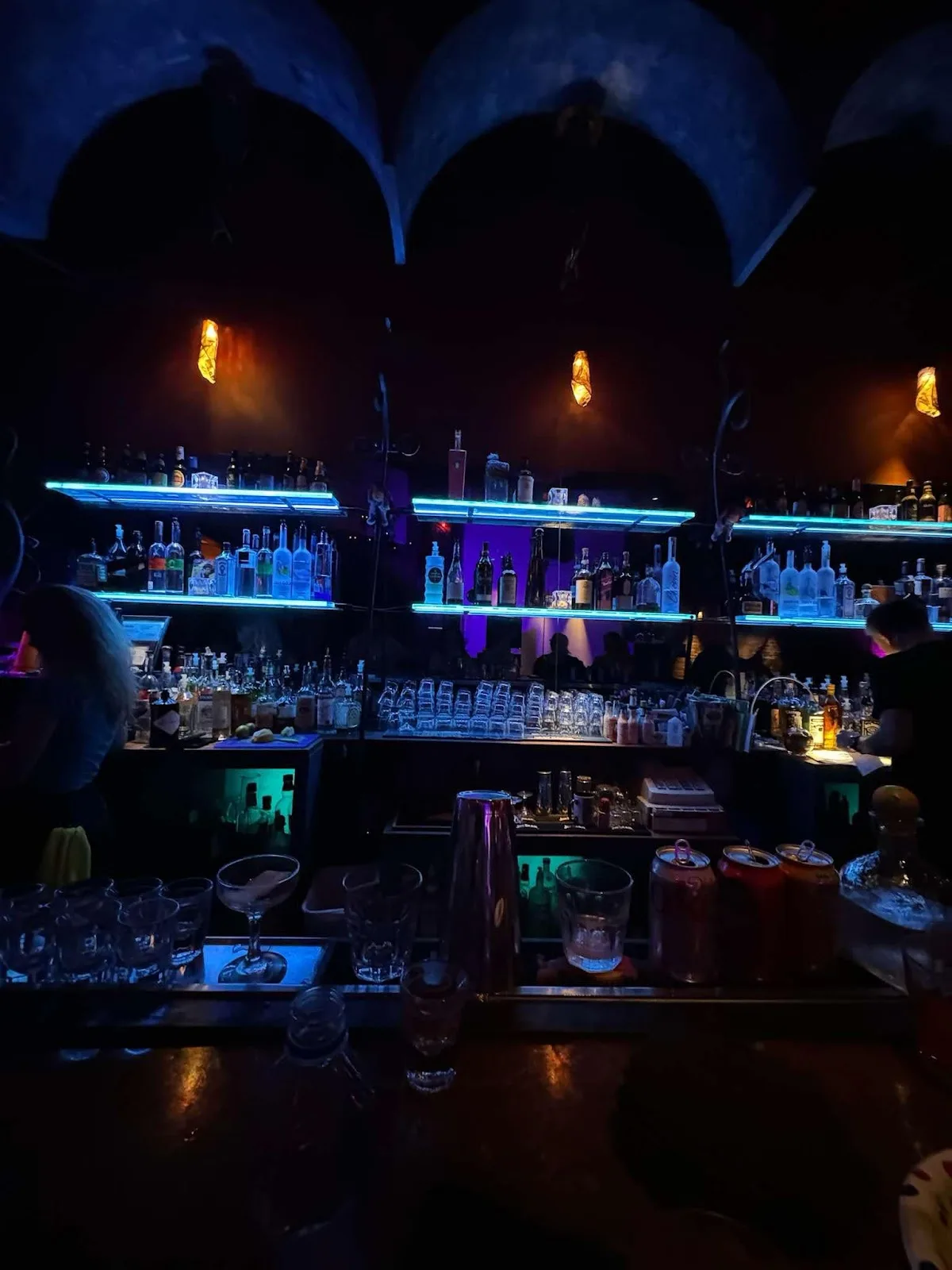 Blue Goose Lounge