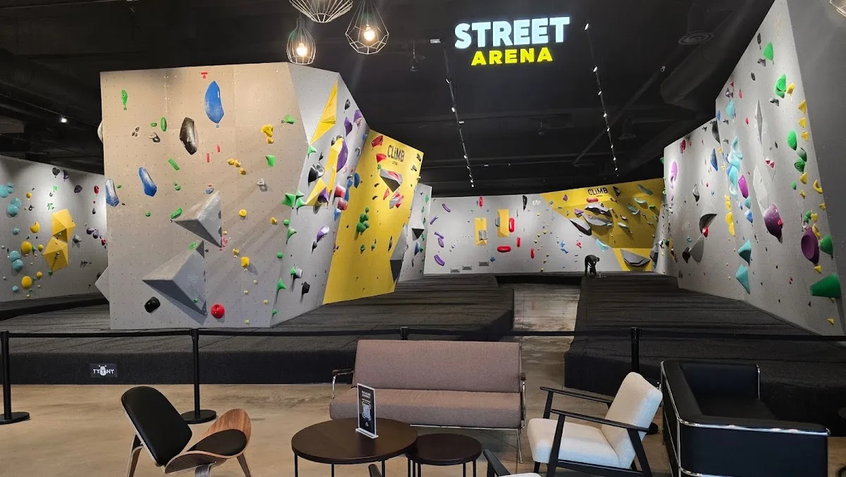 Room Climbing Climb Arena