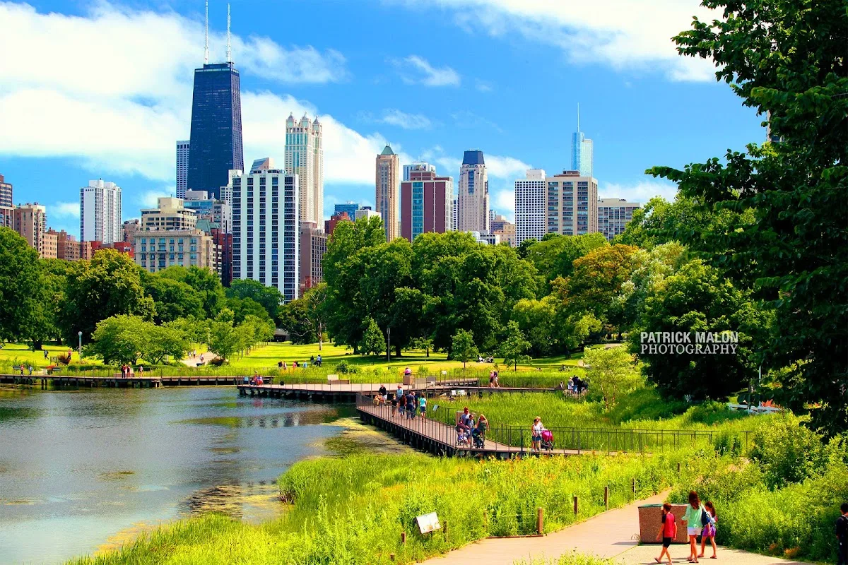 Nature Boardwalk at Lincoln Park Zoo