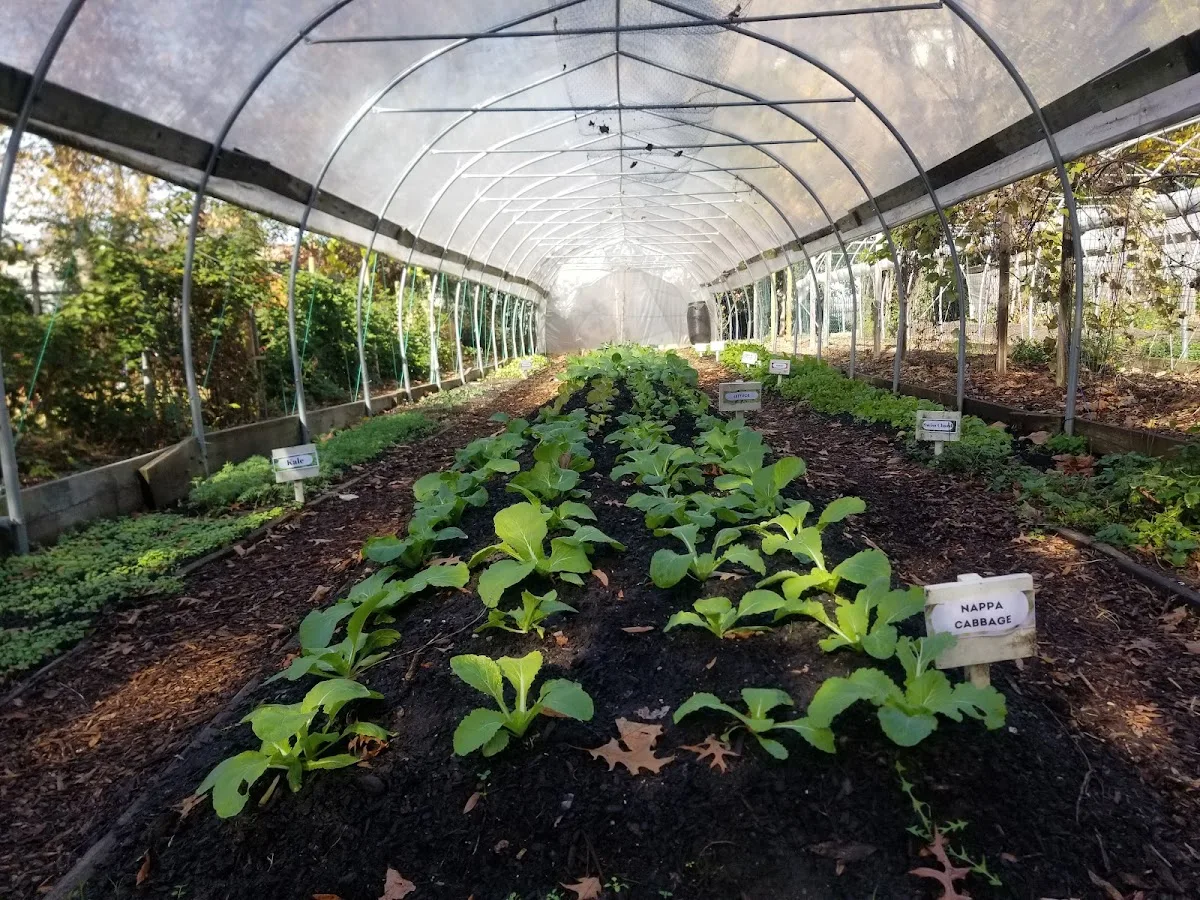 Marvin Gaye Greening Center