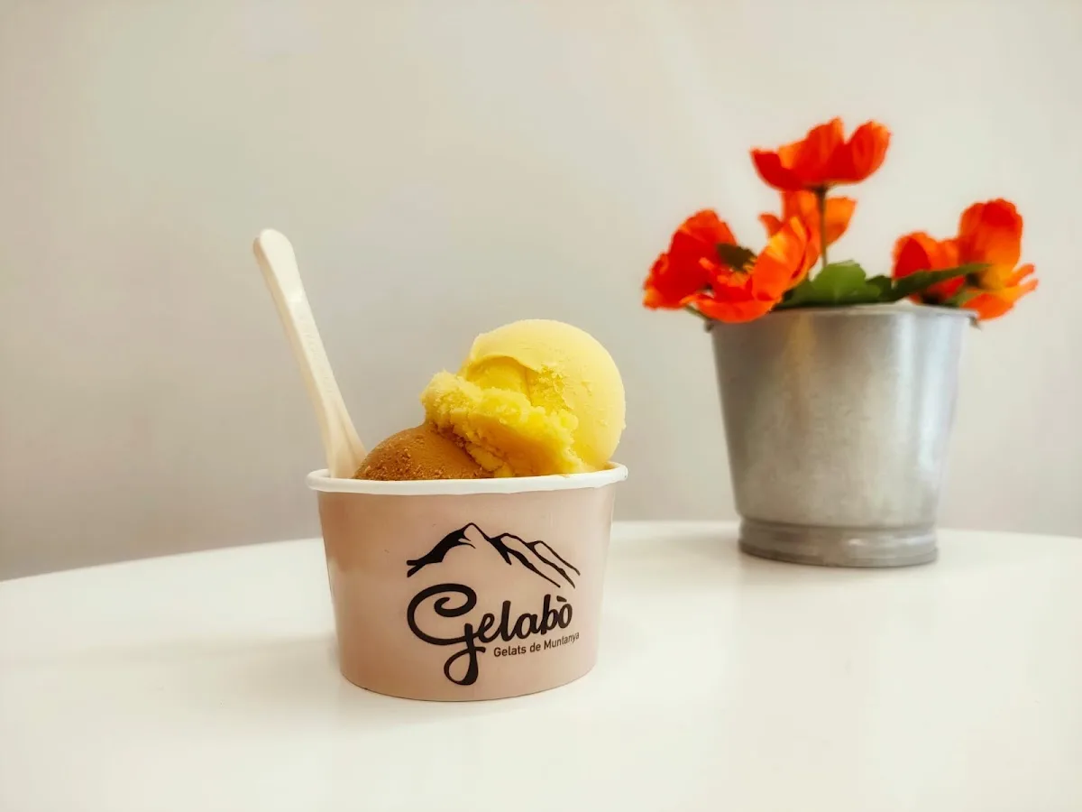 TOMO 2 - Gelats naturales