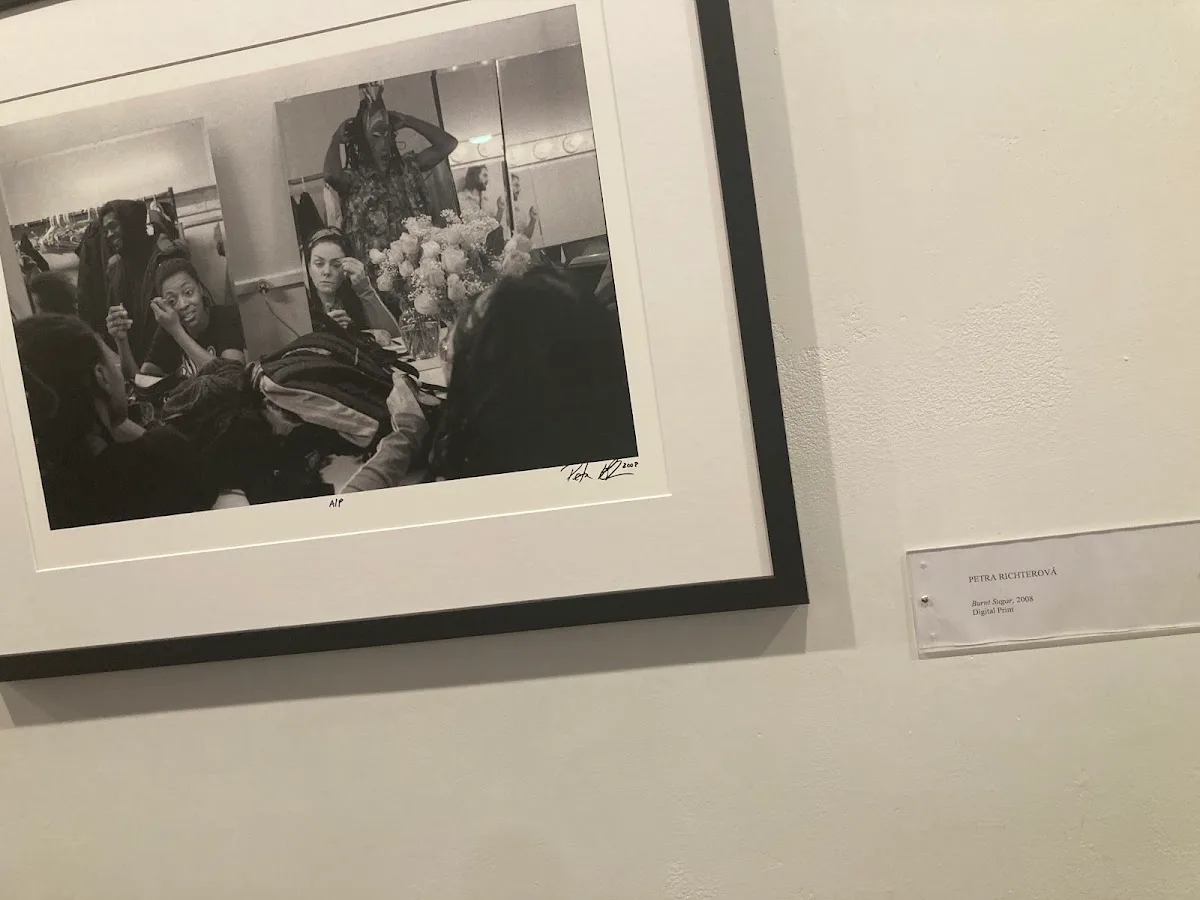 Wilmer Jennings Gallery