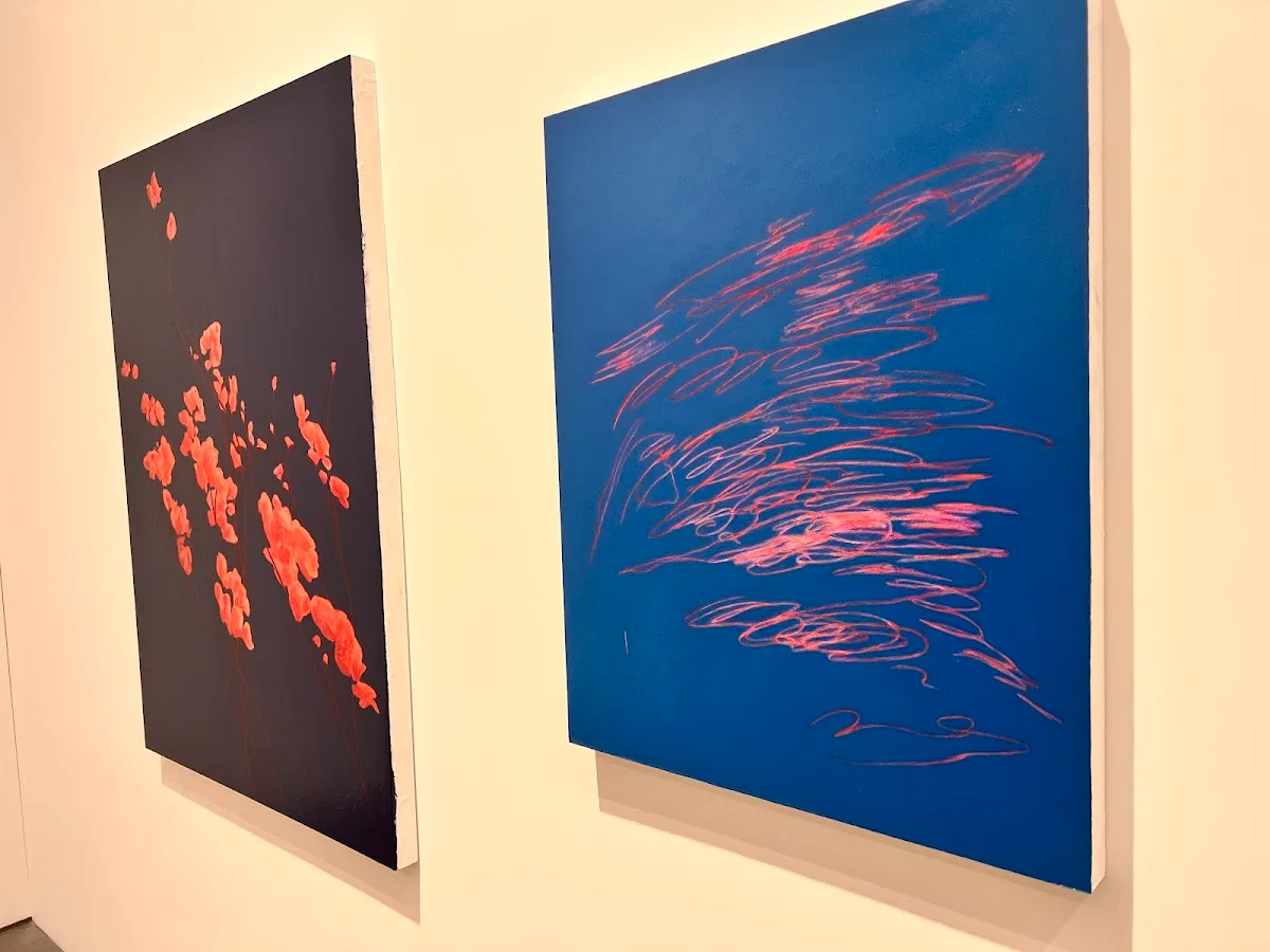 Nino Mier Gallery