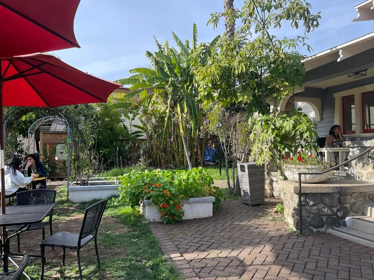 Baby Bistro