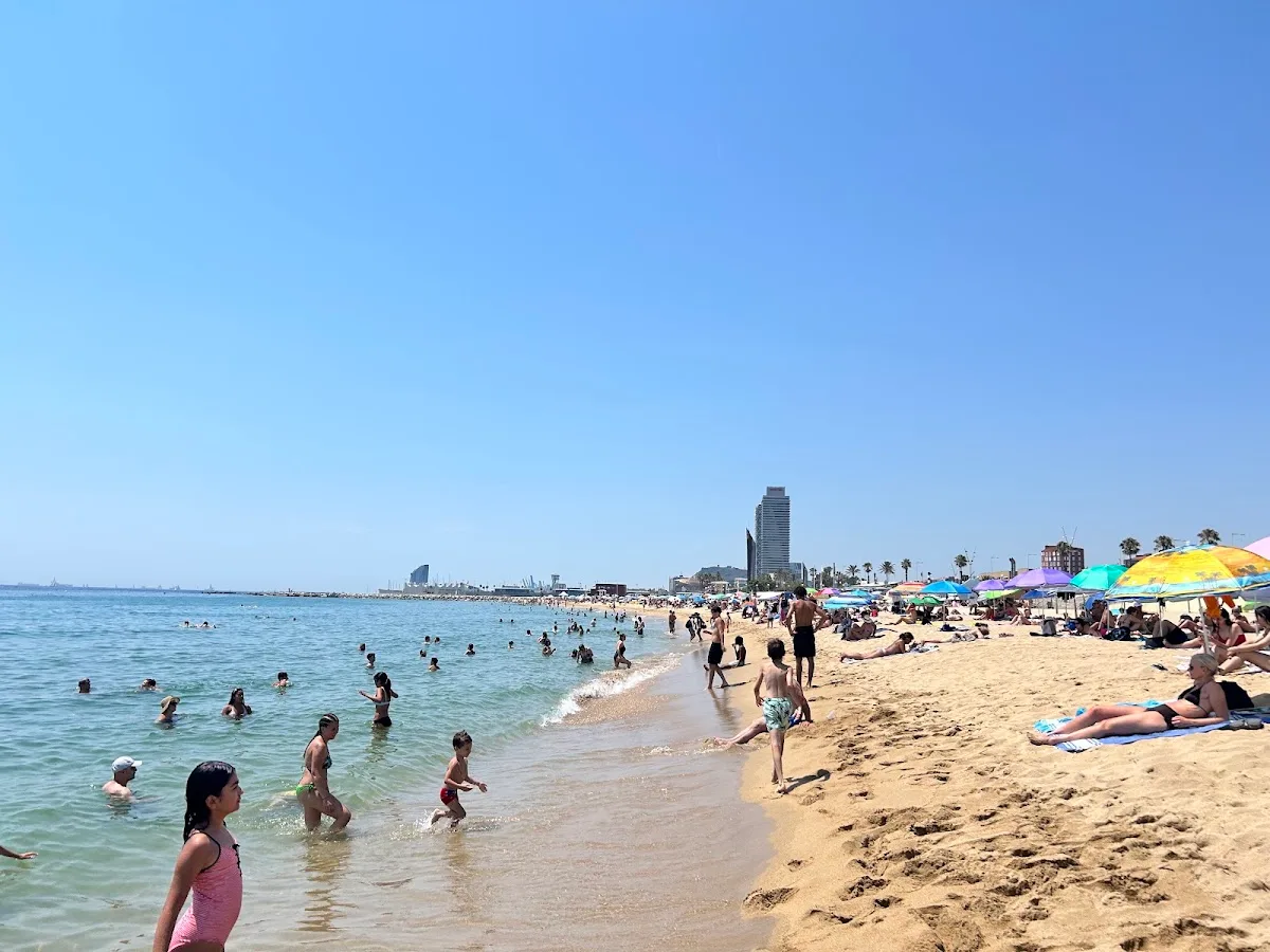 El Chiringuito Group | Barcelona
