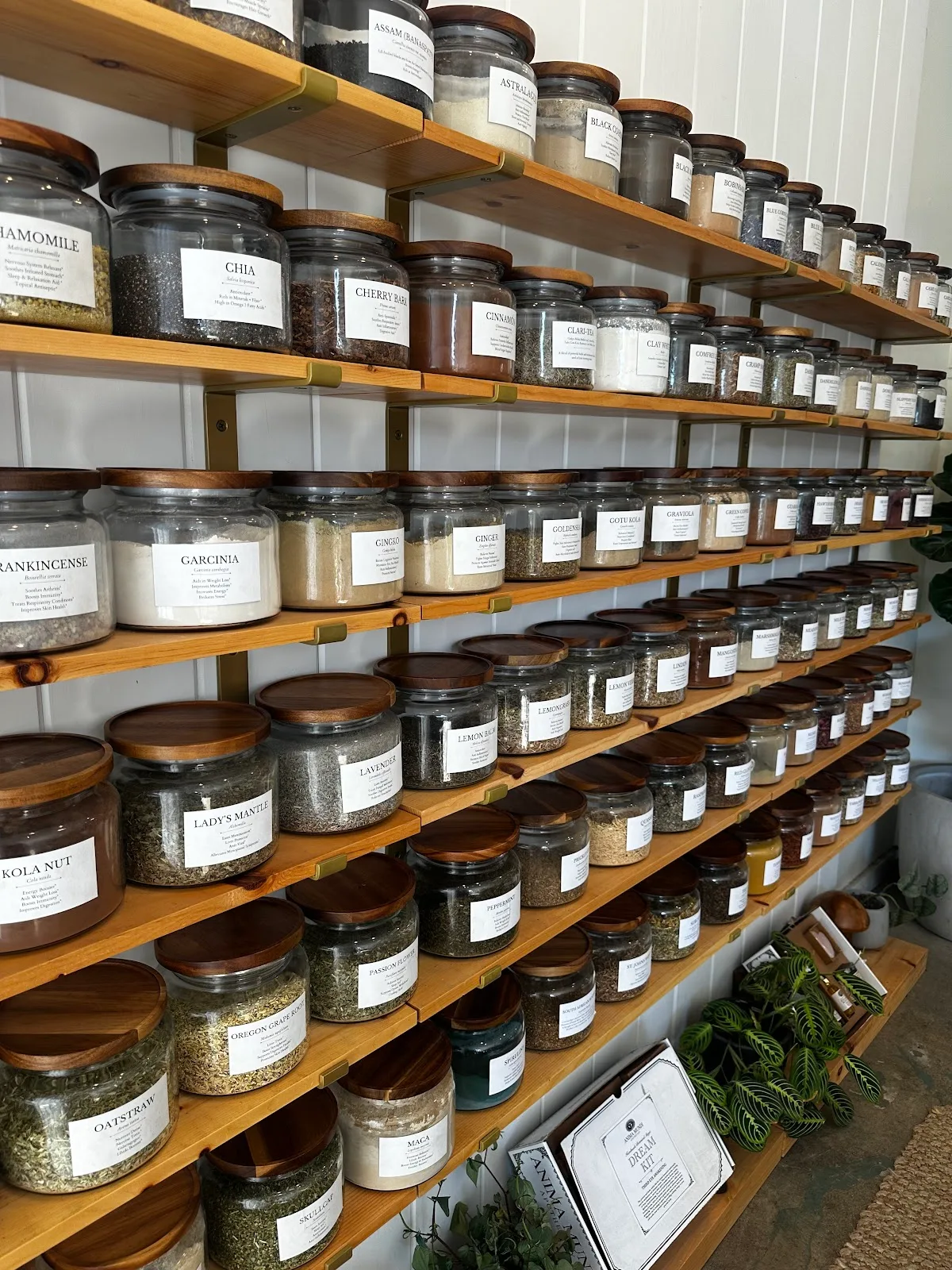 Anima Mundi Apothecary