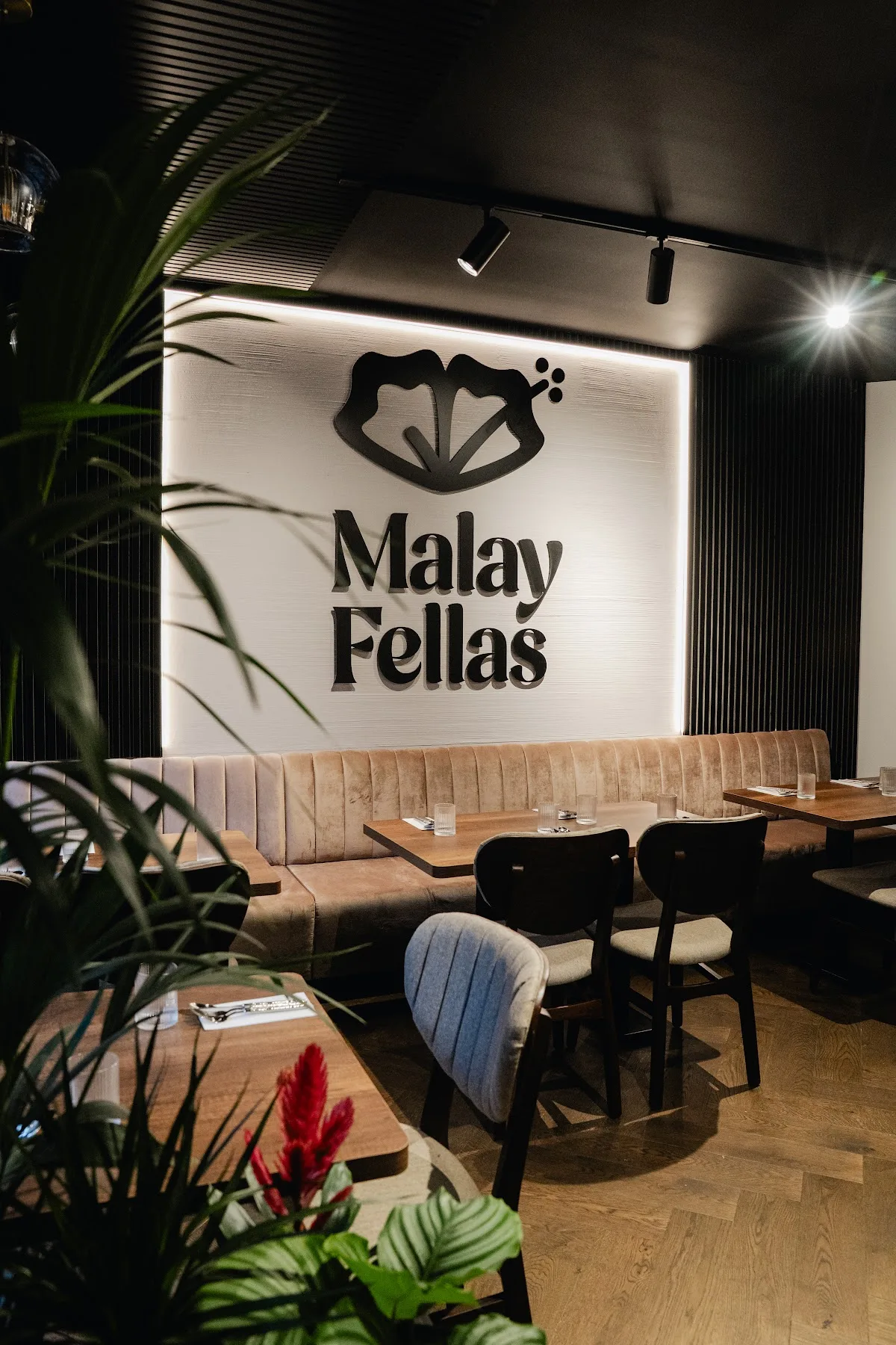 Malay Fellas