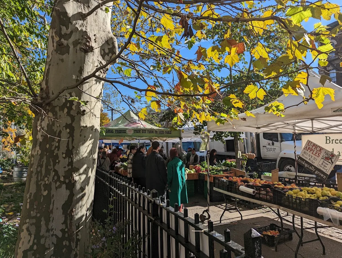 Cortelyou Greenmarket