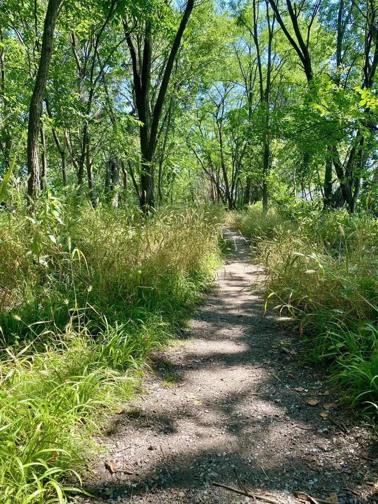 Kingman Trail