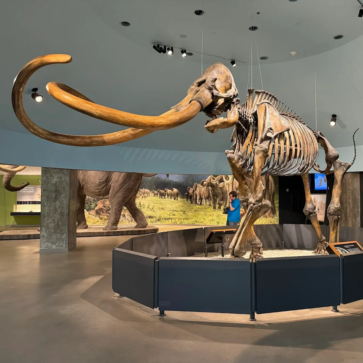La Brea Tar Pits and Museum