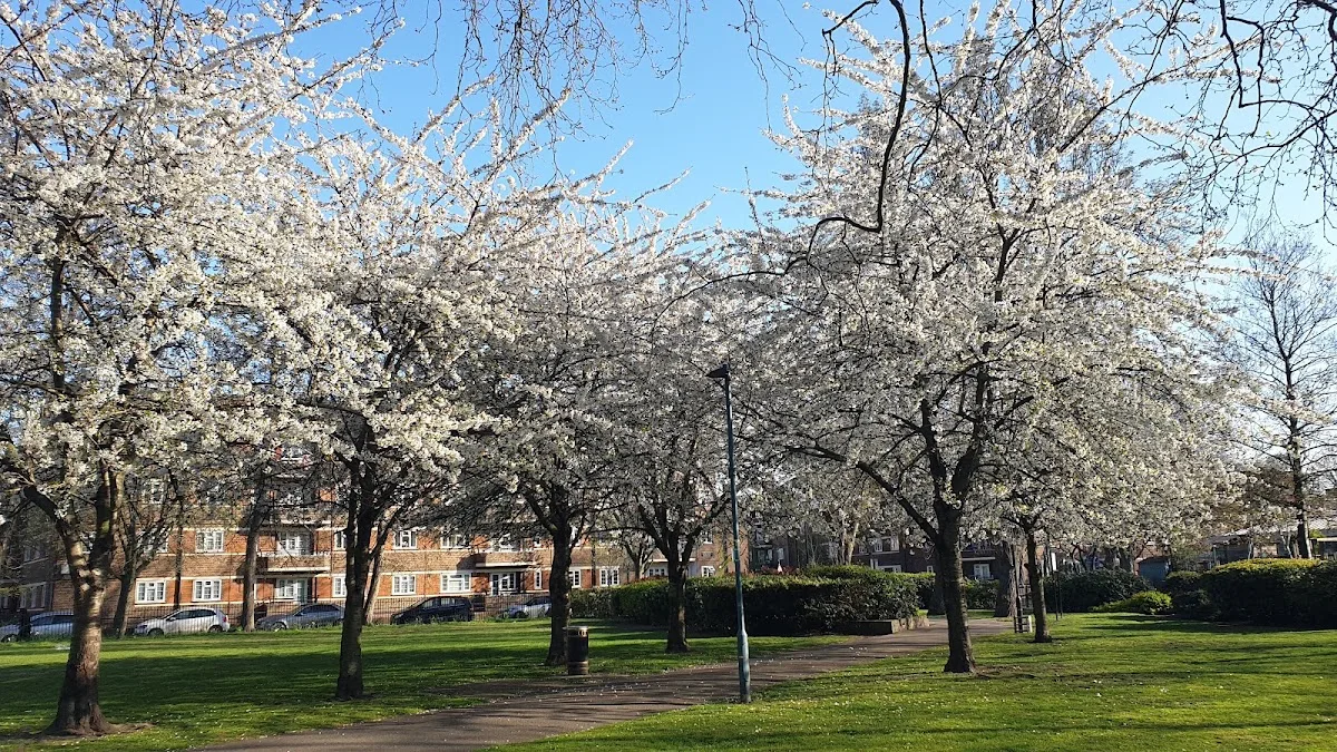 Shandy Park
