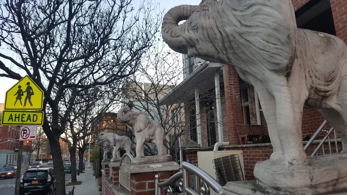 Bedford-Stuyvesant Community Garden