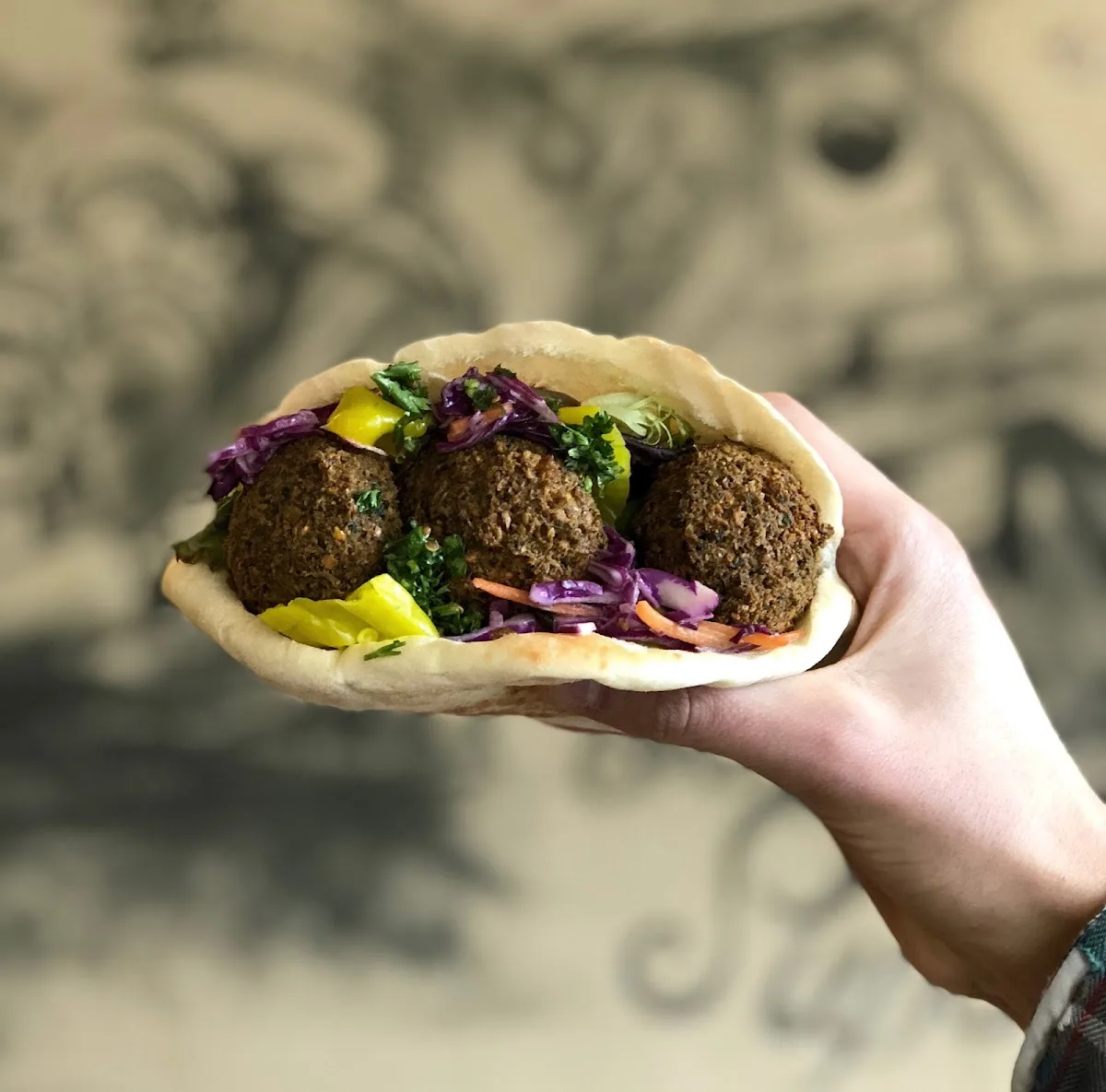 IDOF - I Dream of Falafel