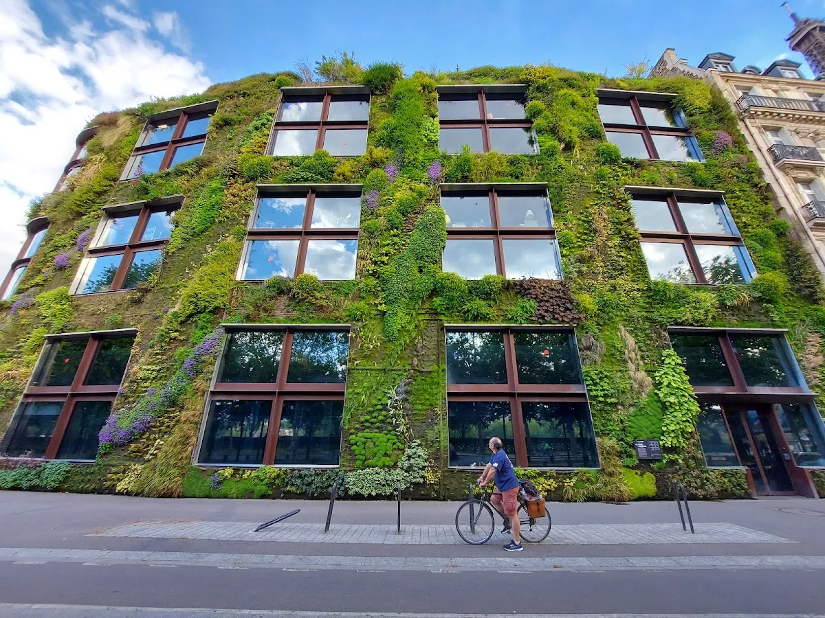 Vertical Garden Wall