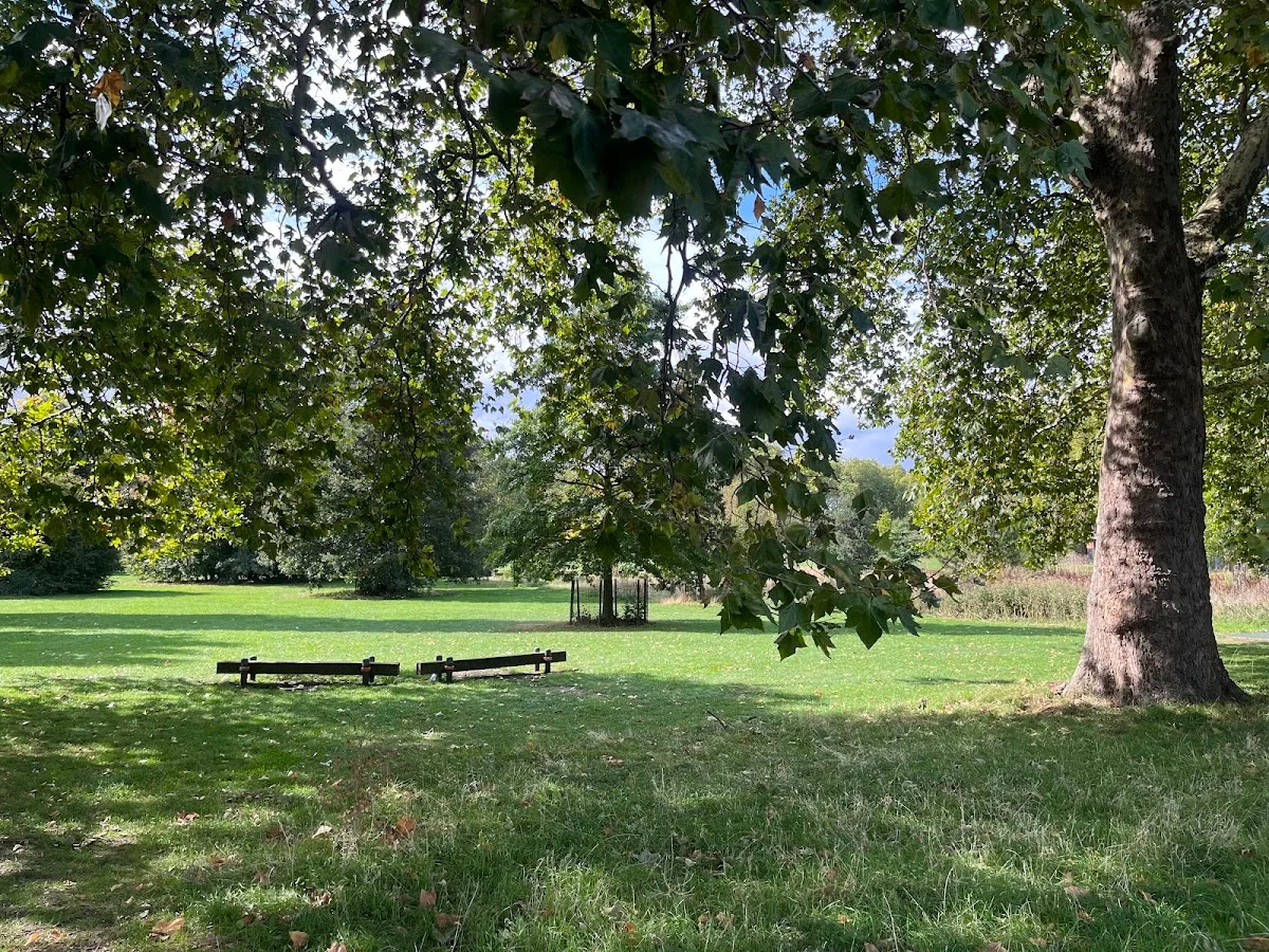Millfields Park