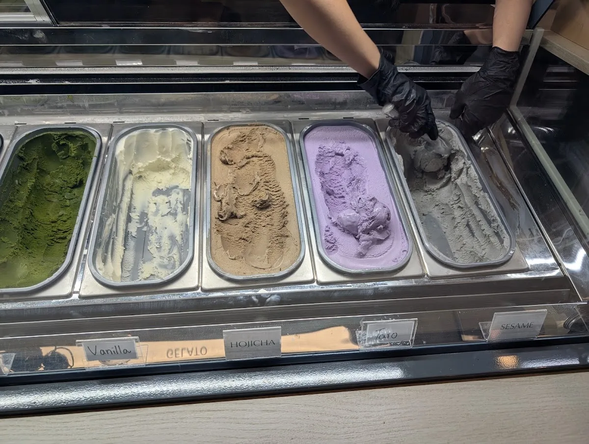 Aoko Matcha