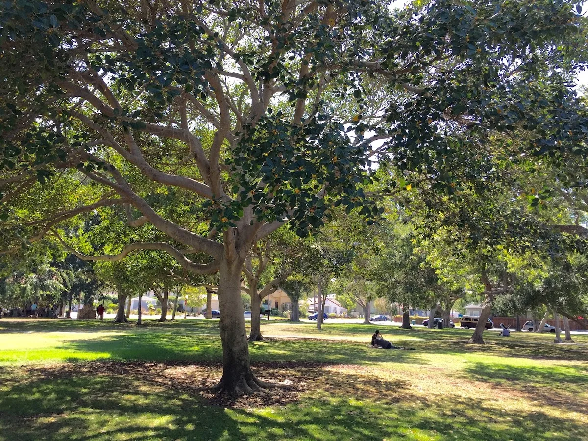 Carlson Park