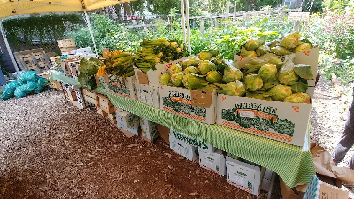 462 Halsey Community Farm