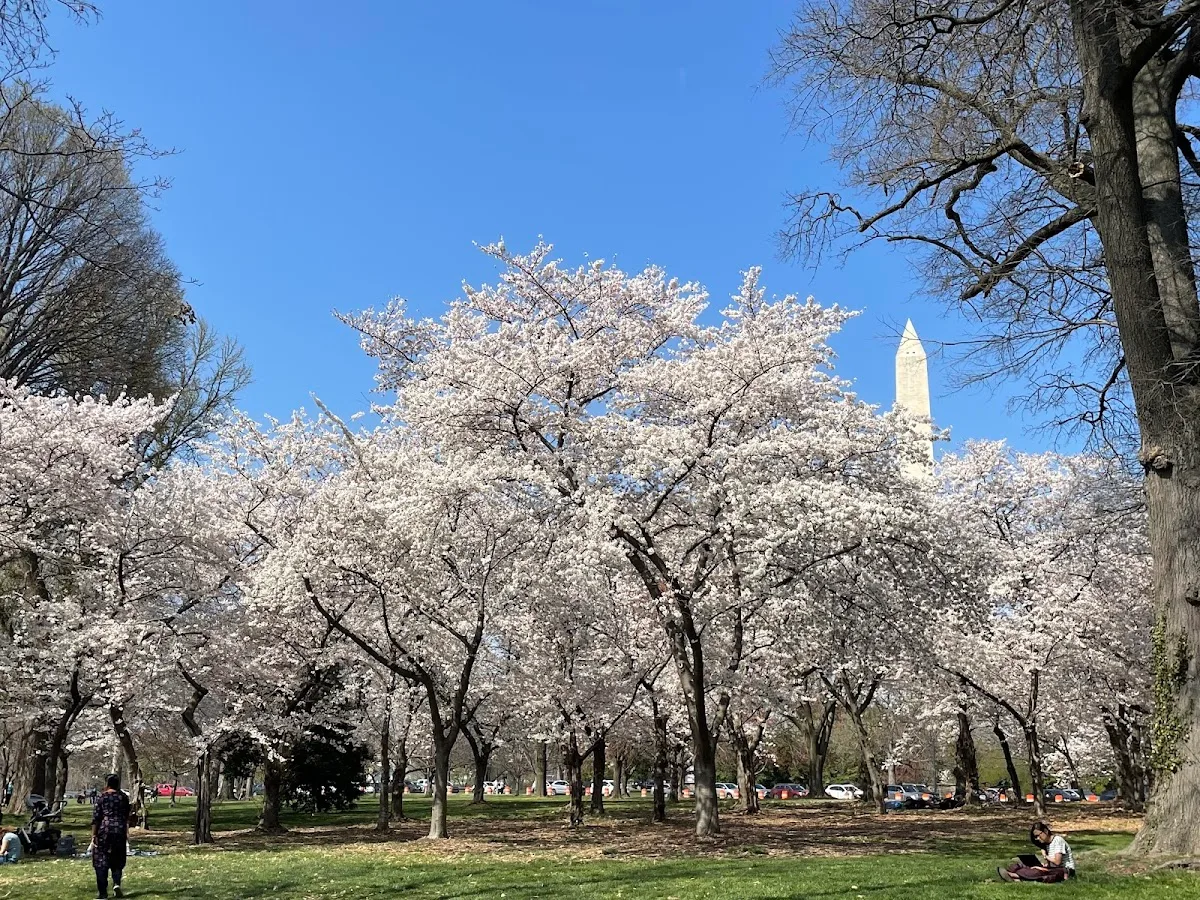 Floral Park