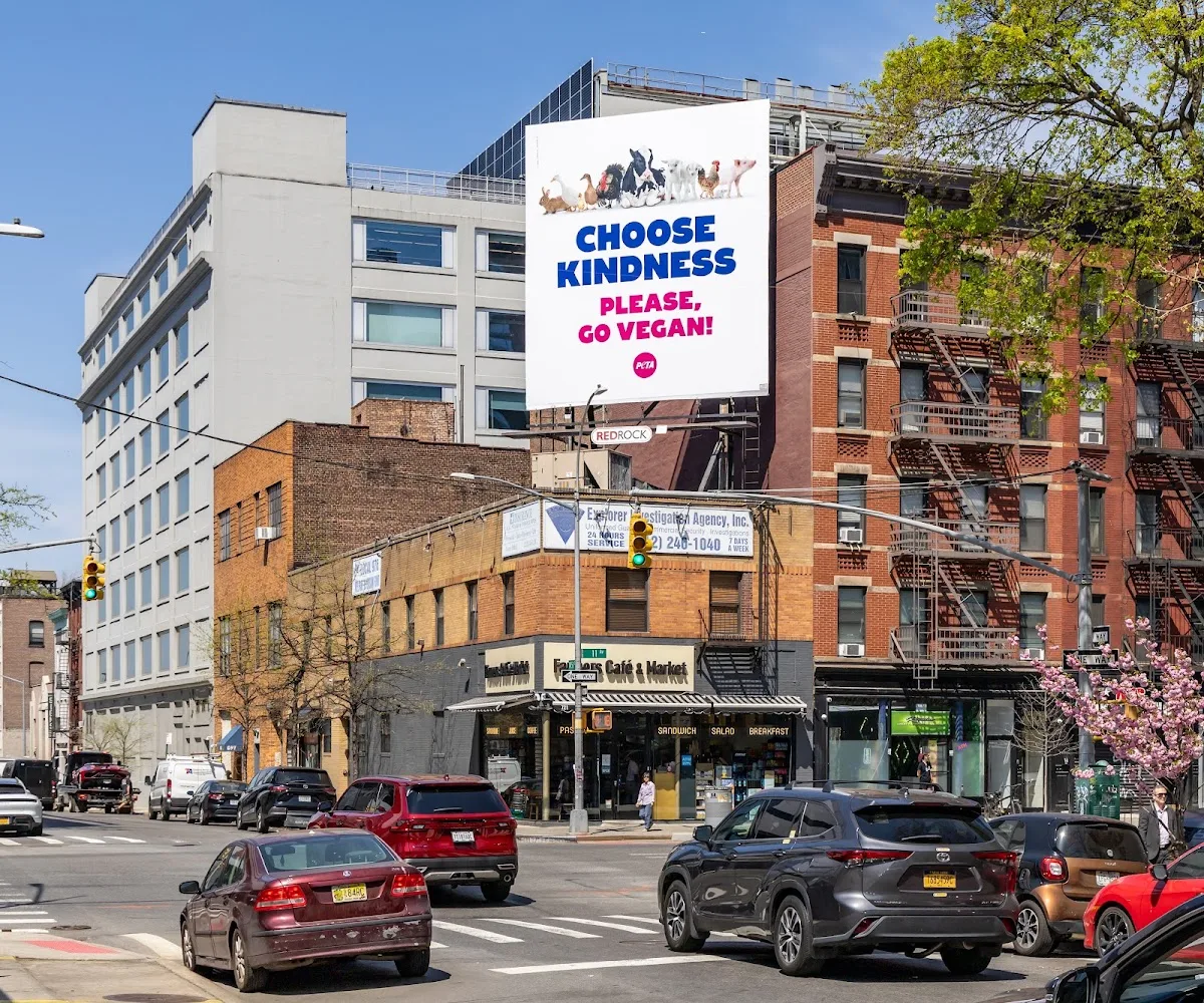 Edison Market
