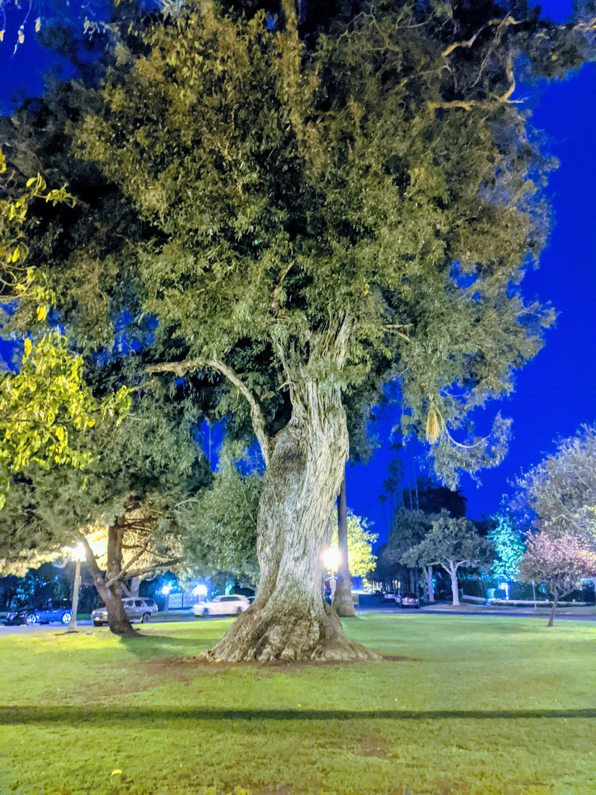 Holbrook Park (Formerly Goose Egg Park)