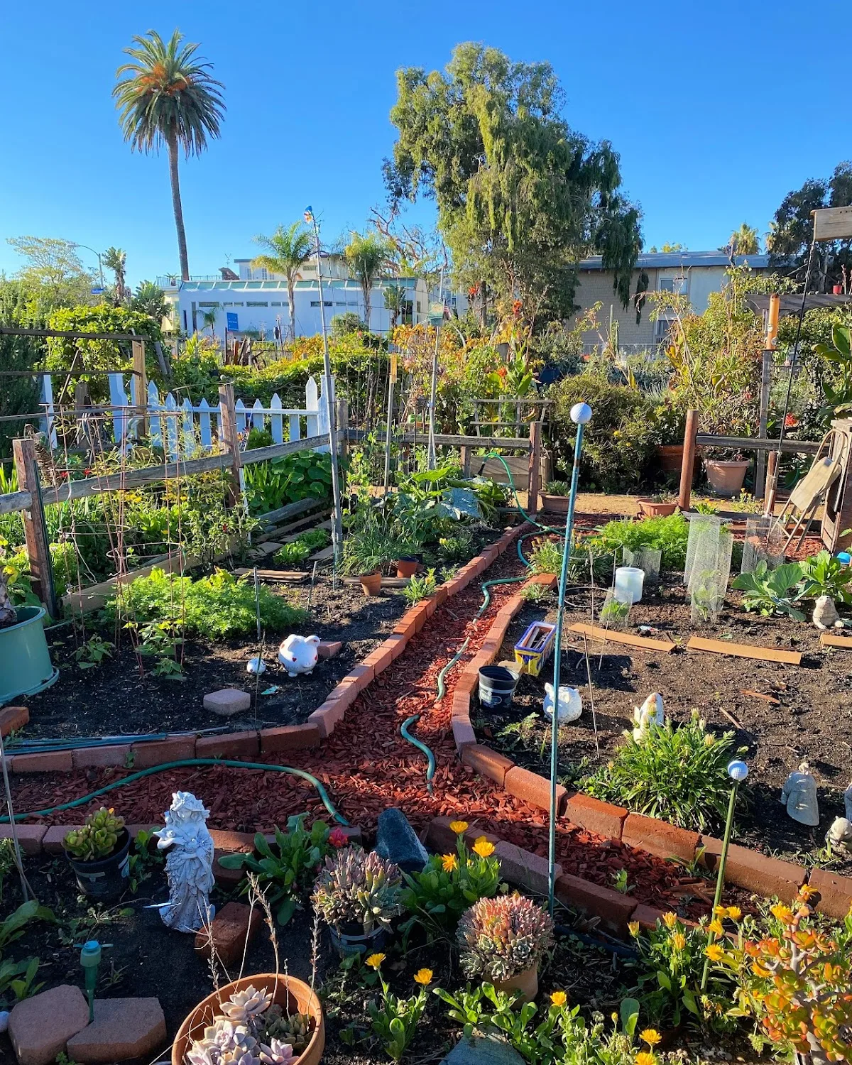 Santa Monica Community Garden on Main Street