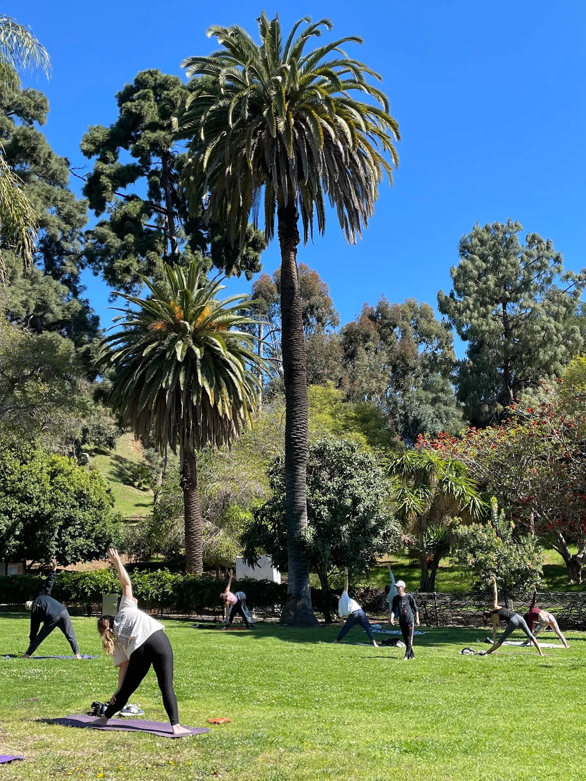 Runyon Canyon Yoga