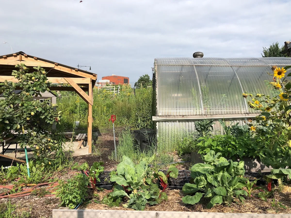 New Roots Community Farm