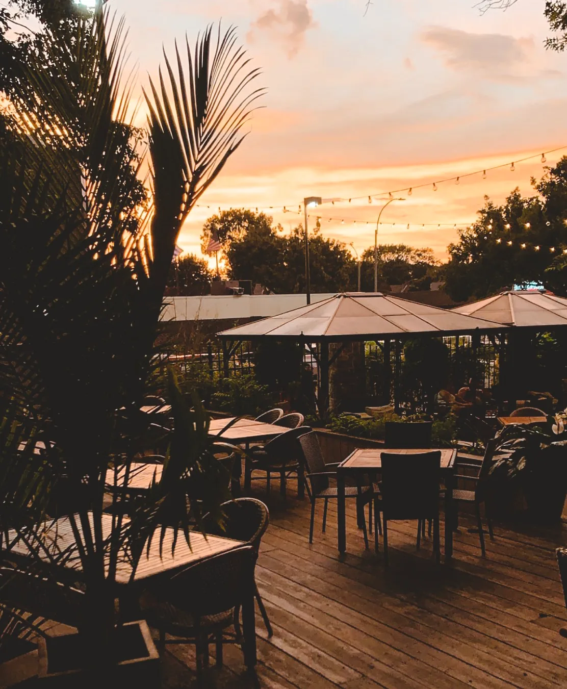 The Oasis Cafe