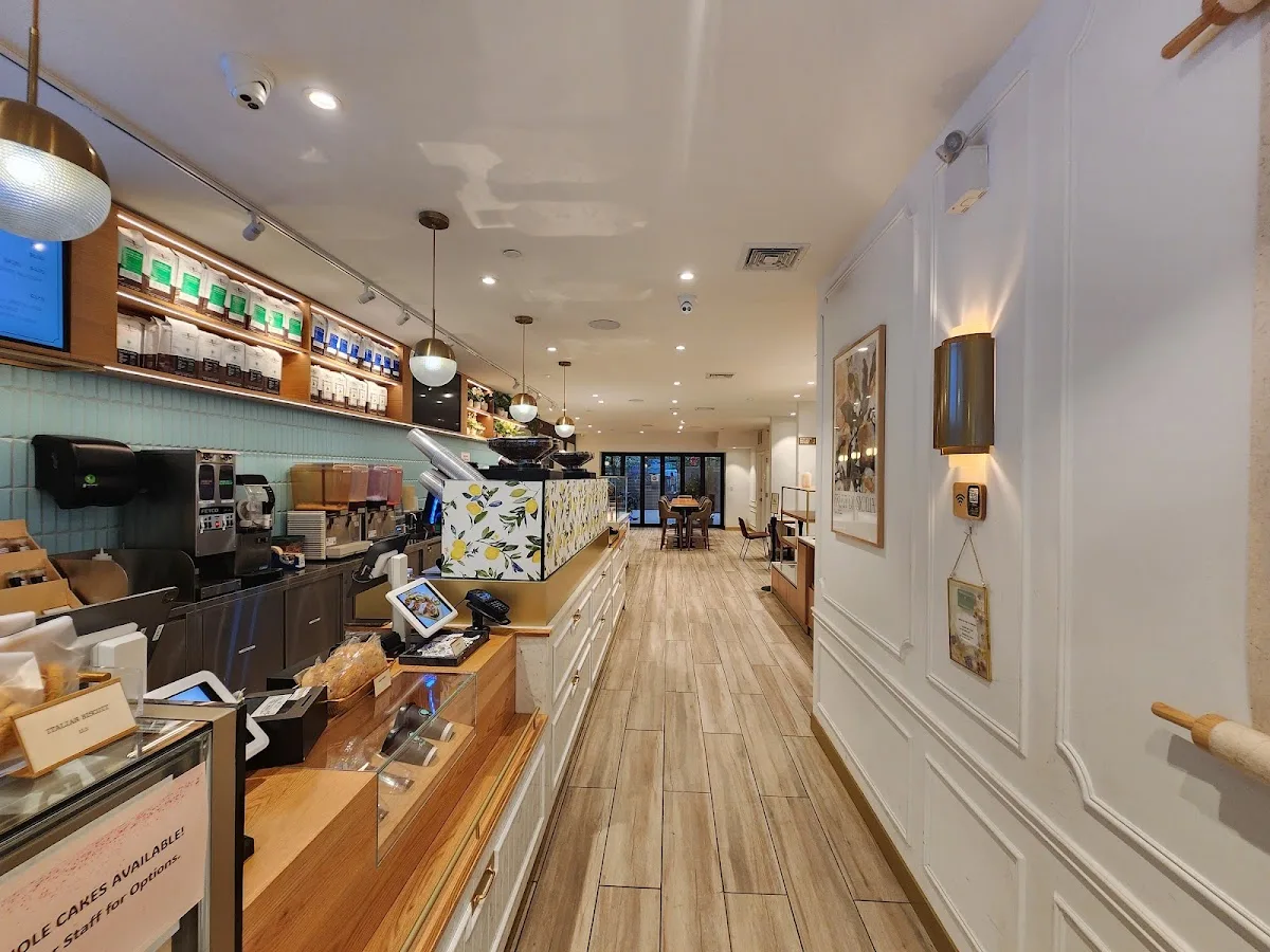 Angelina Bakery Nomad