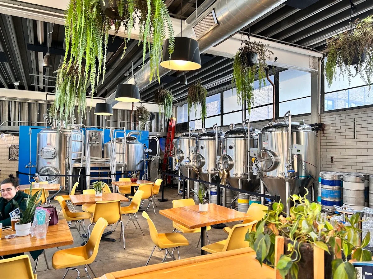 Demo Brewing Company