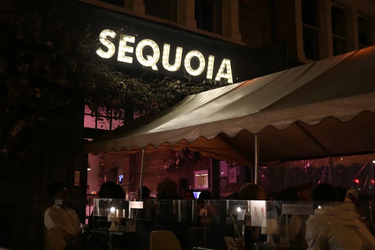 Sequoia