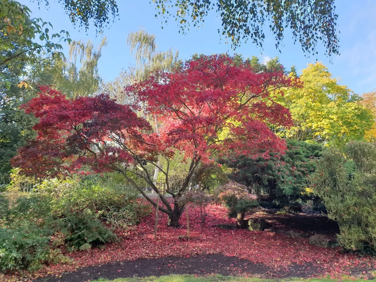 Peckham Rye Park