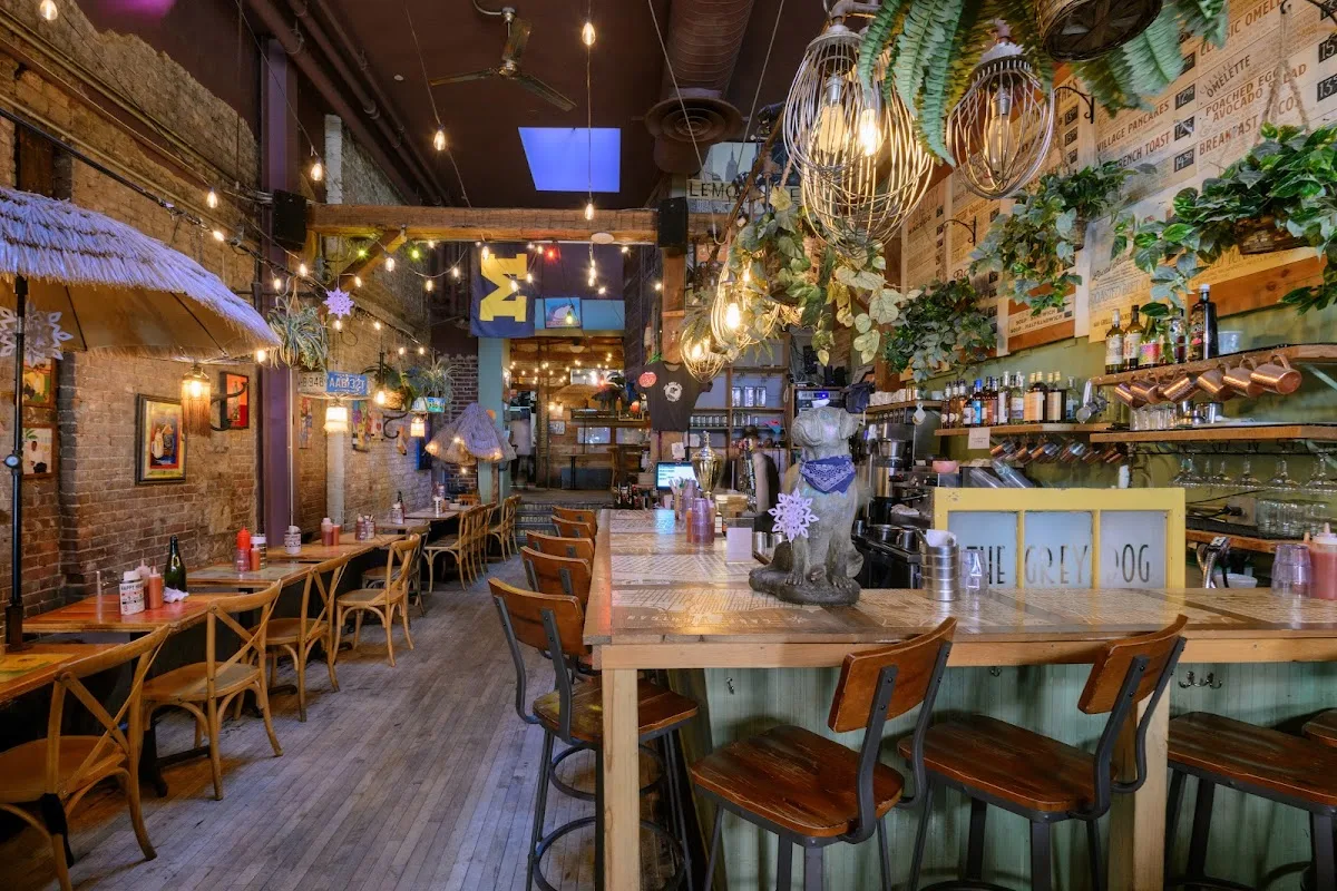 The Grey Dog - Nolita