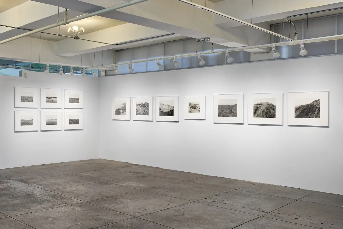 Gallery Luisotti