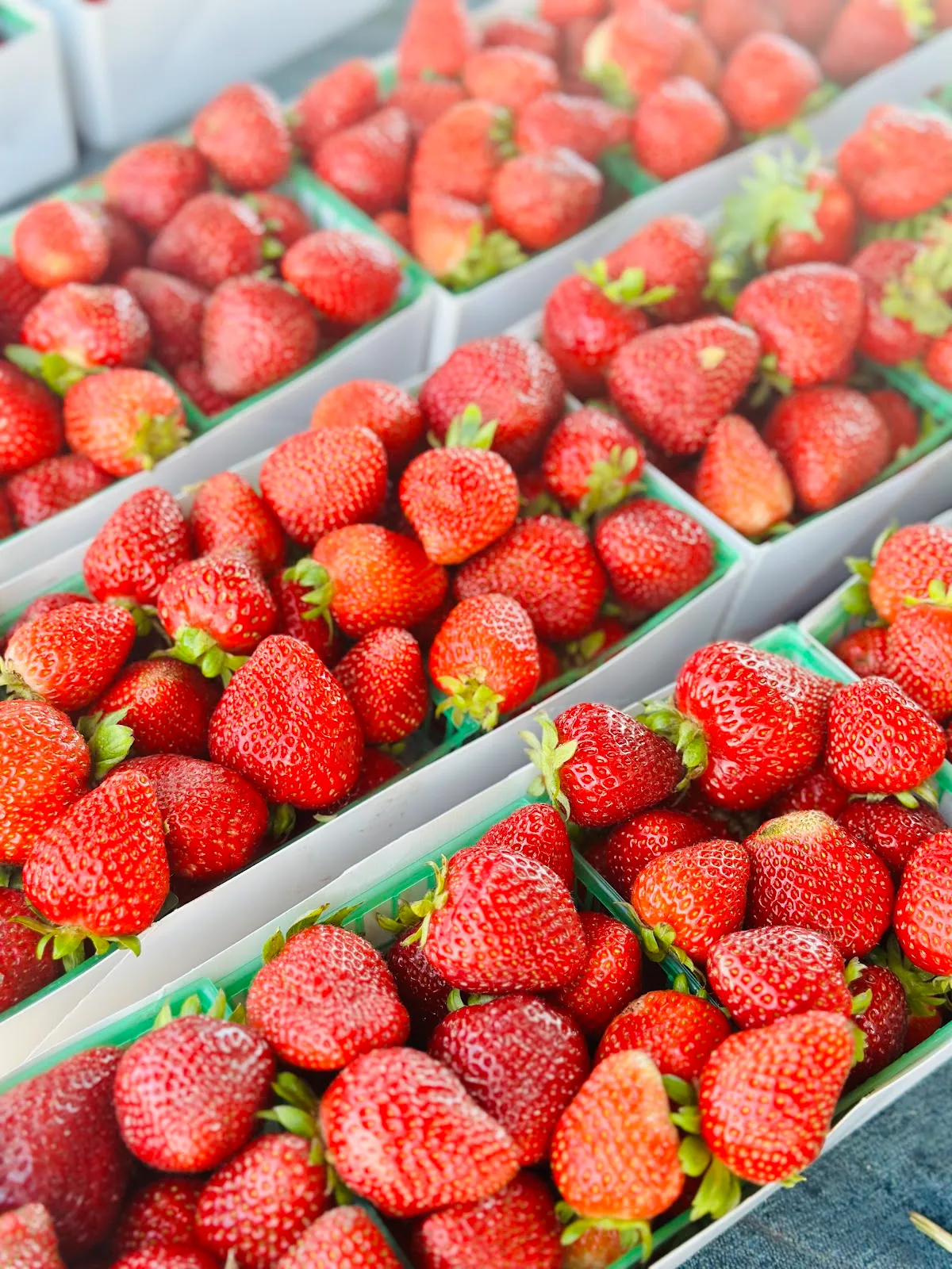 Adams/Vermont Farmer's Market