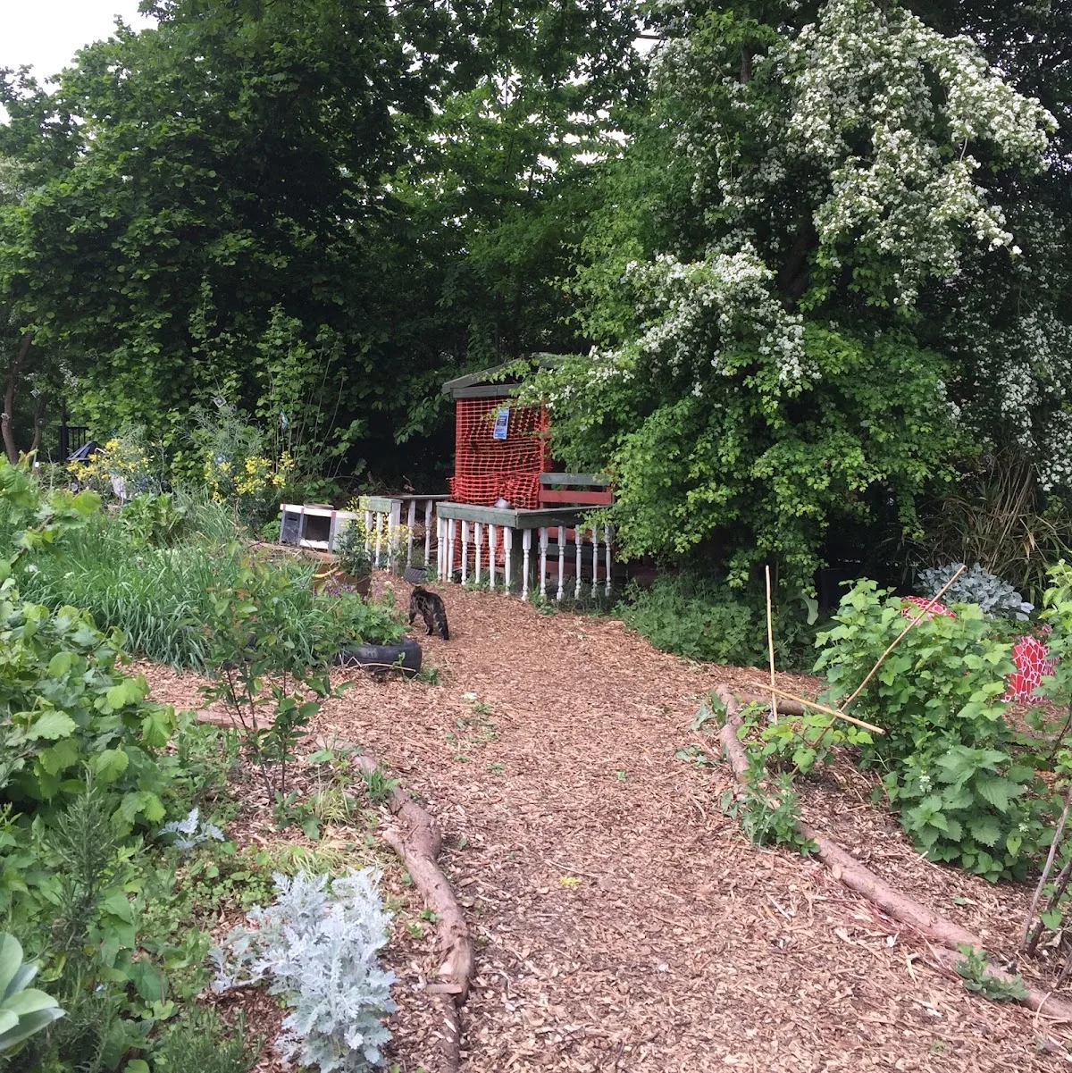 Frendsbury Gardens