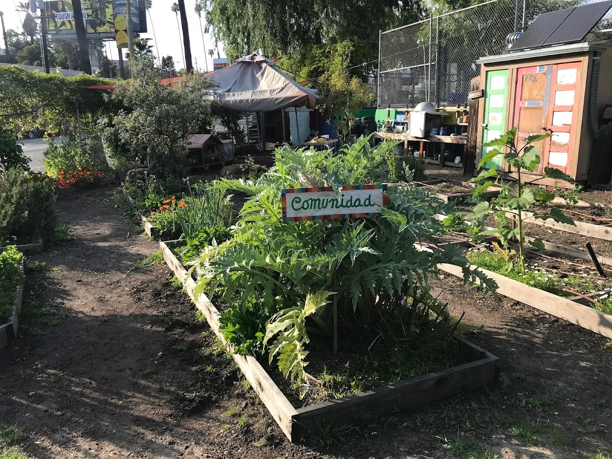 Micheltorena Community Garden
