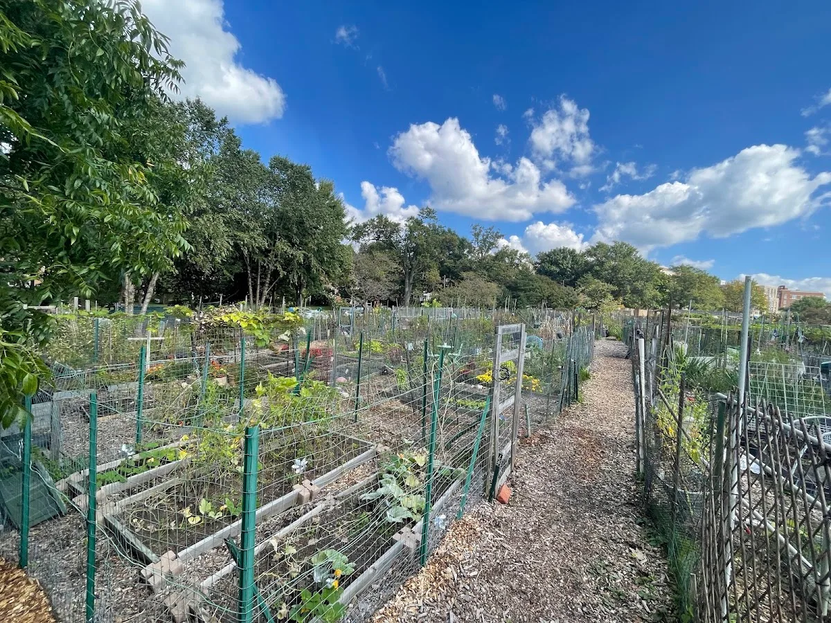 Newark Street Community Garden
