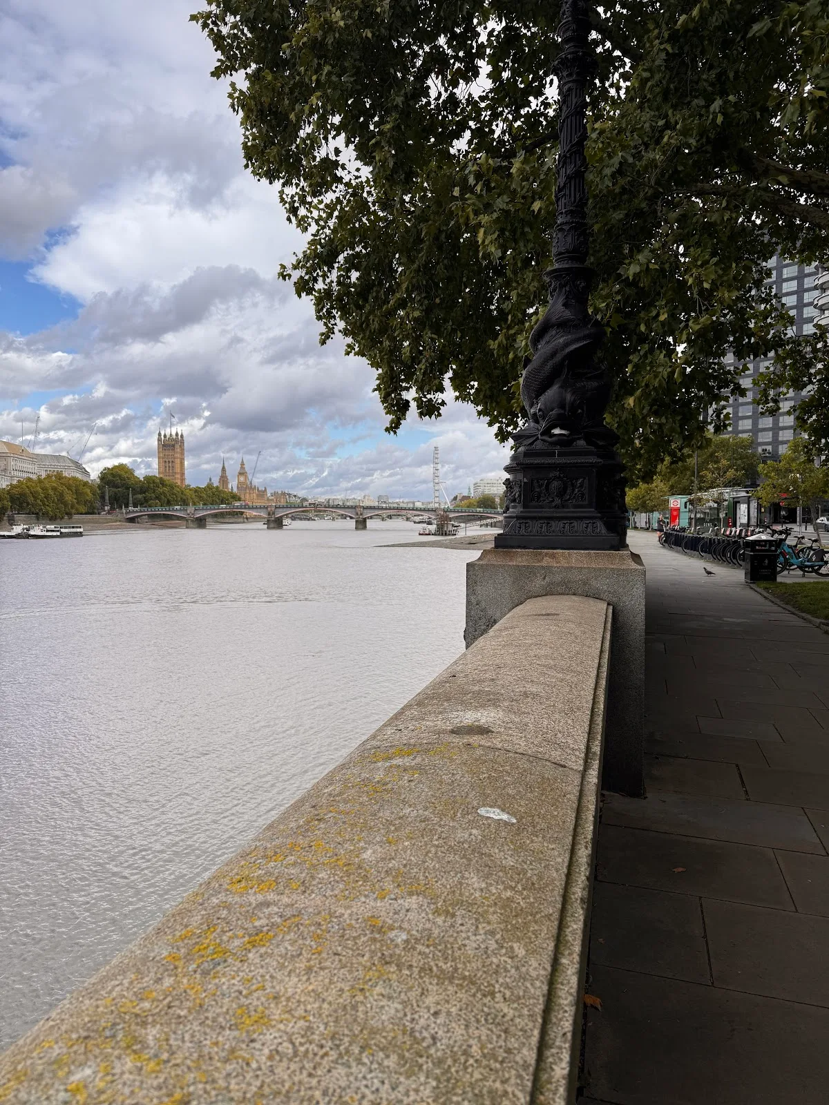 Albert Embankment Gardens