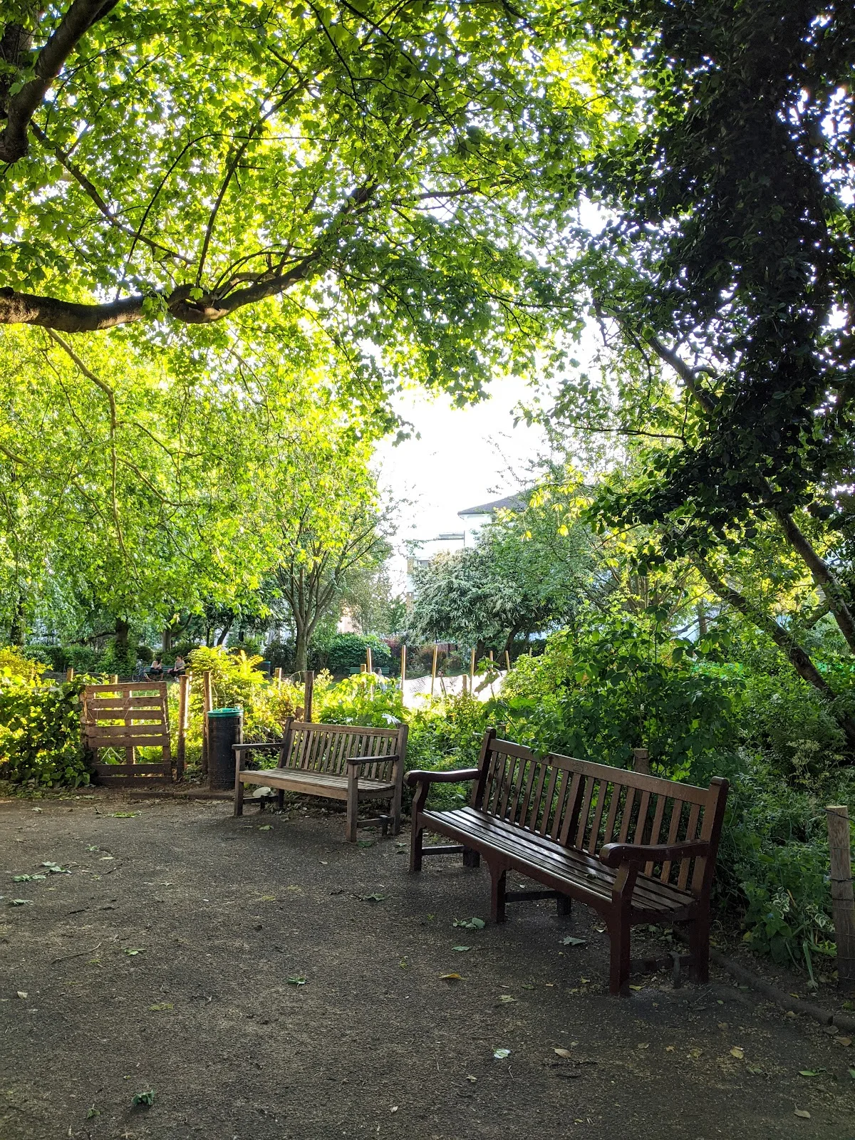Barnsbury Square garden
