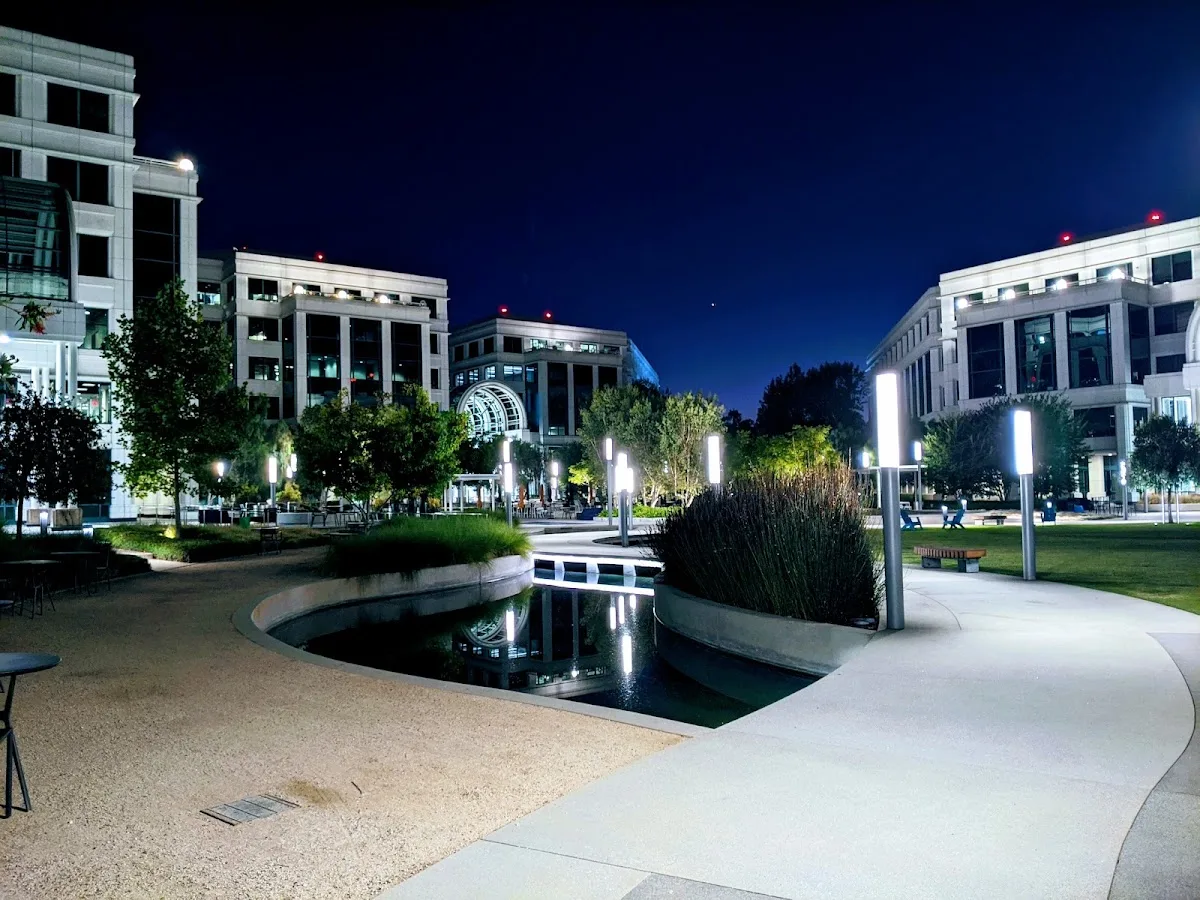 Water Garden
