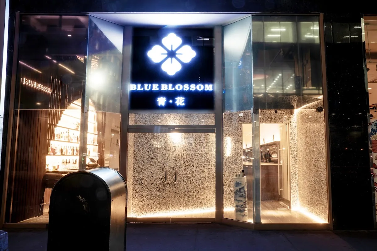 Blue Blossom 青花